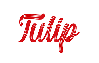 tulip gifts lebanon
